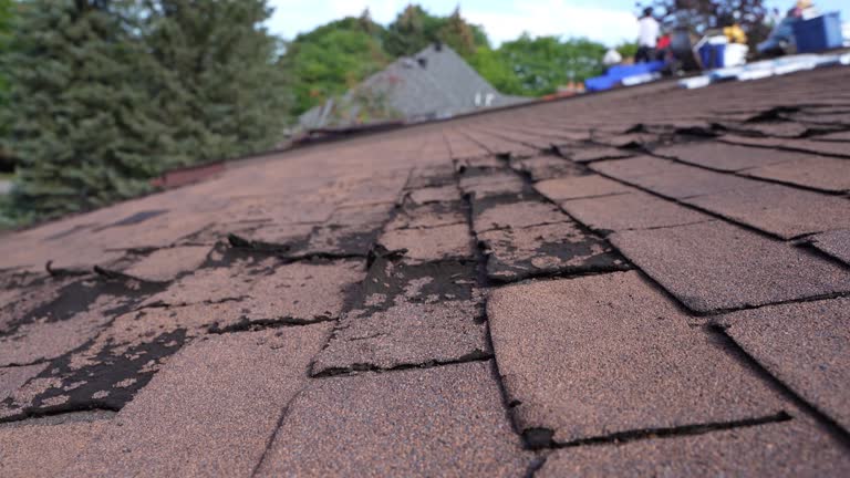 Best Tile Roofing Installation  in Cardington, OH